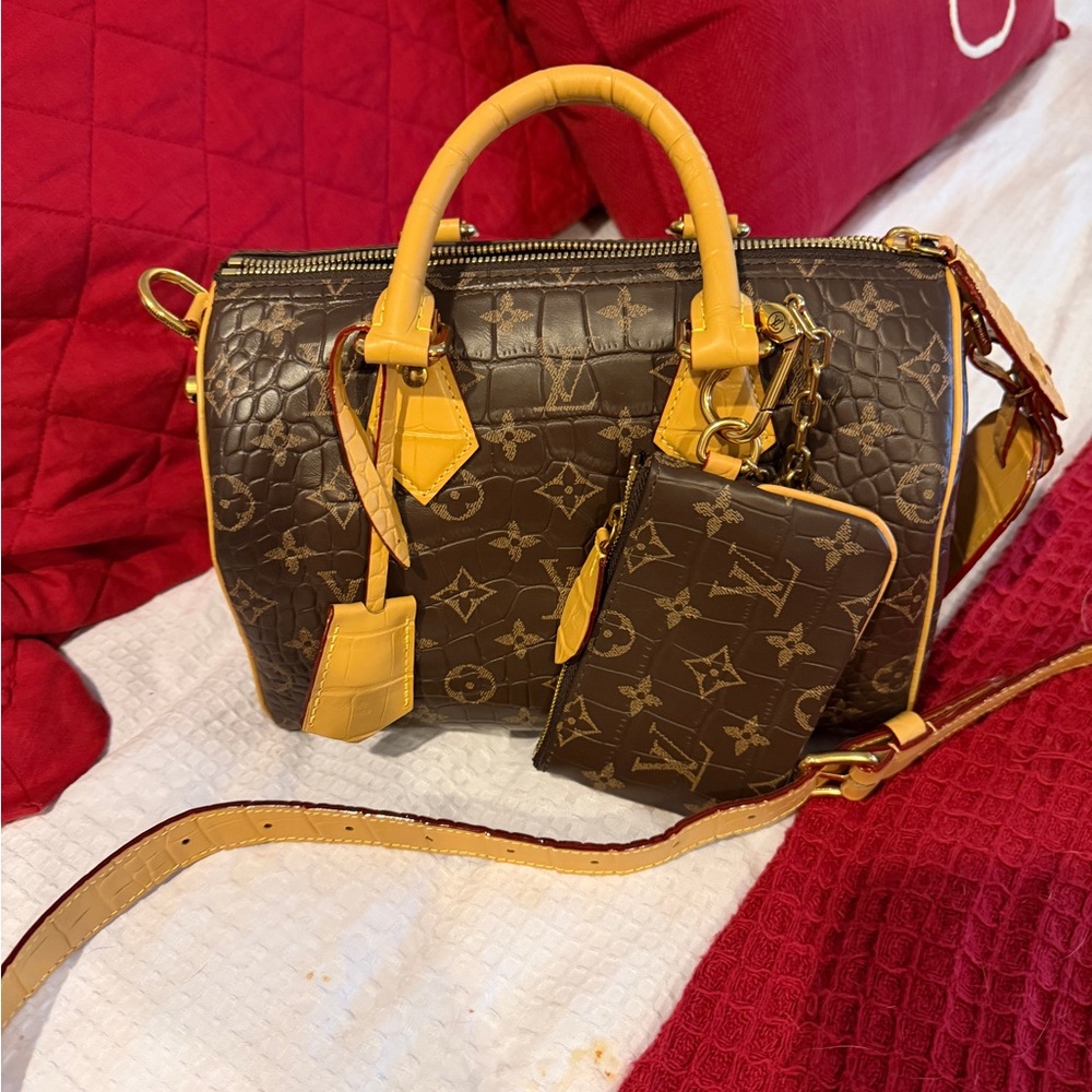 Lv P9 speedy Brown and Tan Designer Handbag Set
